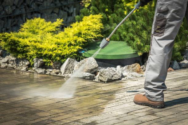 Best Building Exterior Washing  in Alanes Ridge, CA